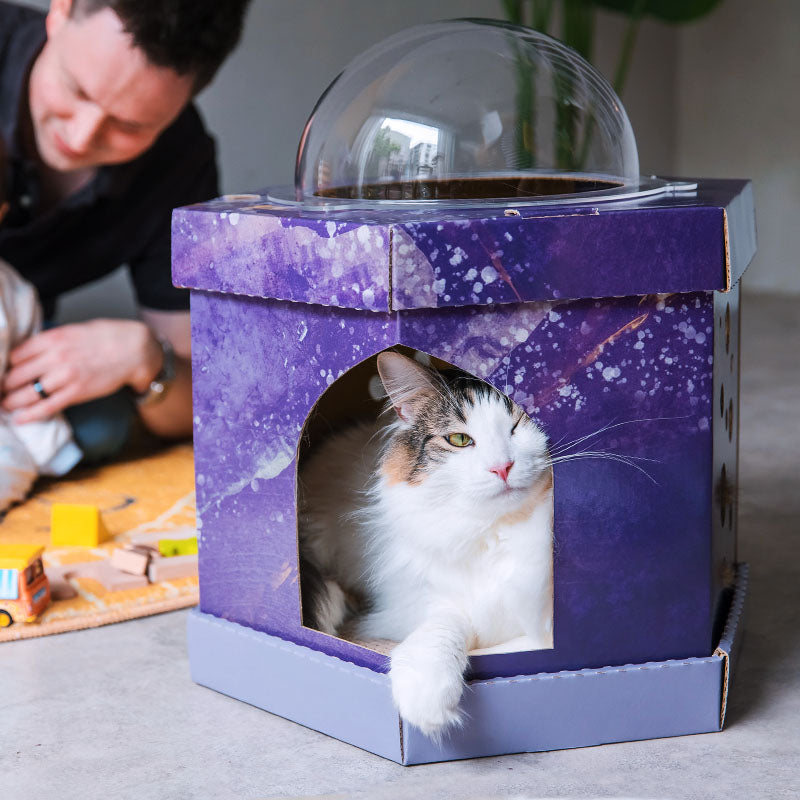 PAWFY Cat Observatory (Scratching House)